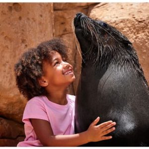 Atlas Village – Sea Lion Experiences at Atlantis The Palm, Dubai, United Arab Emirates Activities & Events Shop Online at Special Price from Dubai Shopping City