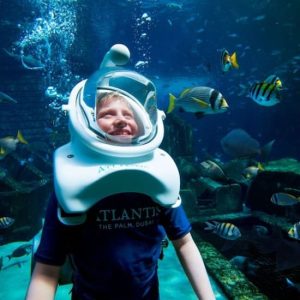 Dubai Atlantis: Aquaventure Waterpark + Shark Safari or Snorkel Experience at Aquaventure Waterpark, Dubai, United Arab Emirates Activities & Events Shop Online at Special Price from Dubai Shopping City