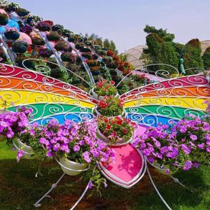 Dubai Butterfly Garden: Skip The Line at Dubai Butterfly Garden, Dubai, United Arab Emirates Activities & Events Shop Online at Special Price from Dubai Shopping City