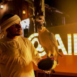Premium Desert Safari: Camel Ride, Falconry, and BBQ Dinner at Dubai Mall, Dubai, United Arab Emirates Activities & Events Shop Online at Special Price from Dubai Shopping City
