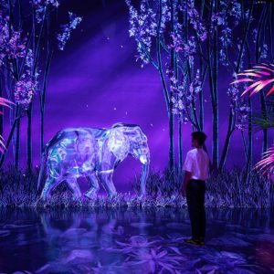 ARTE Museum + House Of Hype – Combo Combos and more adventures Dubai Combos and more adventures Shop Online at Special Price from Dubai Shopping City 2
