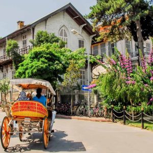 Daily Princes’ Islands Tour: Full-Day Trip in Istanbul Sightseeing and Tours Istanbul Sightseeing and Tours Shop Online at Special Price from Dubai Shopping City