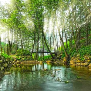 Daily Sapanca and Masukiye Tour: Full-Day Trip From Istanbul Sightseeing and Tours Istanbul Sightseeing and Tours Shop Online at Special Price from Dubai Shopping City