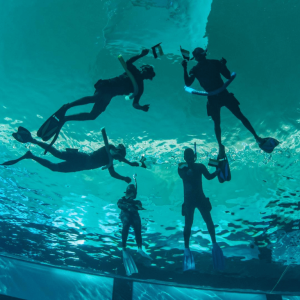 Deep Dive Dubai Surface Snorkeling Experience Water Sports Dubai Water Sports Shop Online at Special Price from Dubai Shopping City
