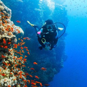 Diving Experience in Khasab Outdoor Attractions Khasab Outdoor Attractions Shop Online at Special Price from Dubai Shopping City
