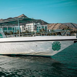 Exclusive Boating Experience – Dolphins Watching Sightseeing and Tours Muscat Sightseeing and Tours Shop Online at Special Price from Dubai Shopping City