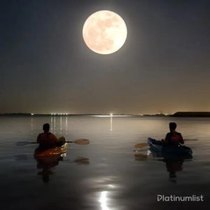 Full moon kayak tour at louvre Abu Dhabi Water Sports Abu Dhabi Water Sports Shop Online at Special Price from Dubai Shopping City 2