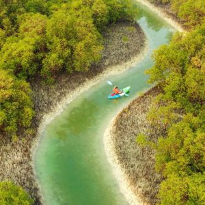 Guided Kayak Tour in the Reem Central Park Mangroves Water Sports Abu Dhabi Water Sports Shop Online at Special Price from Dubai Shopping City