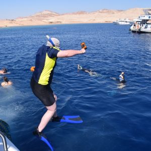 Half-day Snorkeling Boat trip with lunch and drinks from Sharm El Sheikh Sightseeing and Tours Sharm El Sheikh Sightseeing and Tours Shop Online at Special Price from Dubai Shopping City