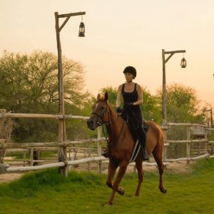 Horse Riding with Open Buffet Dinner & Shows Desert safaris Dubai Desert safaris Shop Online at Special Price from Dubai Shopping City
