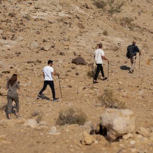 Jebel Buhais Tour Top-Rated Attractions Sharjah Shop Online at Special Price from Dubai Shopping City