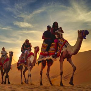 Premium Red Dunes Safari with Camel Ride & 3 Cuisines at Al Khayma Camp Desert safaris Dubai Desert safaris Shop Online at Special Price from Dubai Shopping City 2