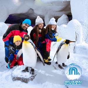 Ski Dubai: Snow Premium with Penguin Encounter Must-see attractions Dubai Must-see attractions Shop Online at Special Price from Dubai Shopping City