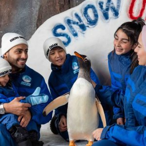 Snow Oman Top-Rated Attractions Muscat Shop Online at Special Price from Dubai Shopping City