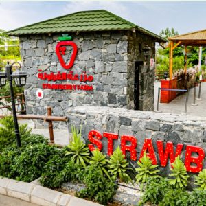 Strawberry Farm Top-Rated Attractions Alhada Shop Online at Special Price from Dubai Shopping City