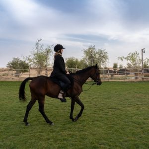 Sunset Horse Riding at Al Marmoom Oasis with a 6-Course Bedouin Dinner Outdoor Attractions Dubai Outdoor Attractions Shop Online at Special Price from Dubai Shopping City