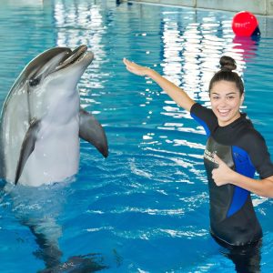 Swimming With Dolphins – Dubai Dolphinarium Dubai Dolphinarium Dubai Dubai Dolphinarium Shop Online at Special Price from Dubai Shopping City