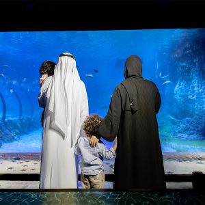 The National Aquarium Abu Dhabi Experiences Abu Dhabi Experiences Shop Online at Special Price from Dubai Shopping City