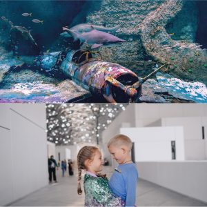 The National Aquarium + Louvre Abu Dhabi – Combo Combos and more adventures Abu Dhabi Combos and more adventures Shop Online at Special Price from Dubai Shopping City