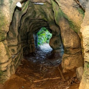Tropical Land Top-Rated Attractions Jeddah Shop Online at Special Price from Dubai Shopping City 2