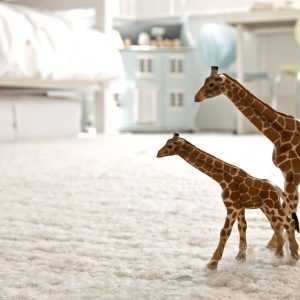 Carpet Cleaning Men's Shop Online at Special Price from Dubai Shopping City