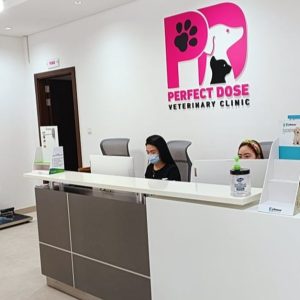 Cat Or Dog Annual Vaccination At Perfect Dose Veterinary Clinic PETS Shop Online at Special Price from Dubai Shopping City