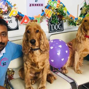 Comprehensive Grooming For All Sizes(Xl,L,M,S) Of Dogs And Small Cats PETS Shop Online at Special Price from Dubai Shopping City 2