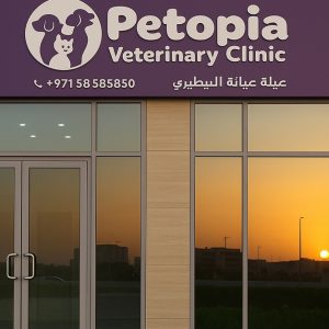 Comprehensive Pet Grooming For Cats And Dogs Up To 40 Kg PETS Shop Online at Special Price from Dubai Shopping City