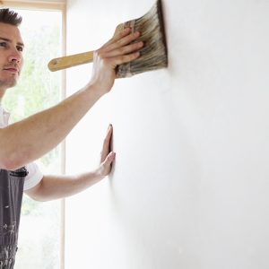 Interior Painter – House PRODUCTS HOME AND GARDEN Shop Online at Special Price from Dubai Shopping City