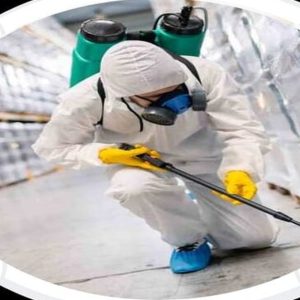 Pest Control Service – General HANDYMAN SERVICES Shop Online at Special Price from Dubai Shopping City
