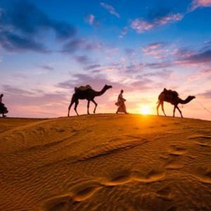 Premium Desert Safari With Vip Transfer, Food, And Live Shows MOTOR SPORTS Shop Online at Special Price from Dubai Shopping City