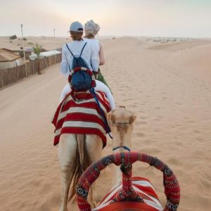 Savor The Ultimate Vip Desert Safari Tour With Home Pickup & Drop Off MOTOR SPORTS Shop Online at Special Price from Dubai Shopping City