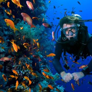 Snorkeling Or Scuba Diving Experience At Al Boom Diving WATER SPORTS Shop Online at Special Price from Dubai Shopping City
