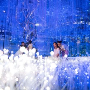 AYA and House of Hype Discover Pass Combos and more adventures Dubai Combos and more adventures Shop Online at Special Price from Dubai Shopping City
