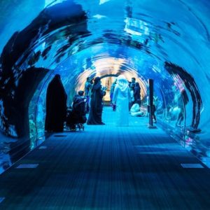 Dubai Aquarium & Underwater Zoo: All-Access Pass at Dubai Aquarium & Underwater Zoo, Dubai, United Arab Emirates Activities & Events Shop Online at Special Price from Dubai Shopping City 2