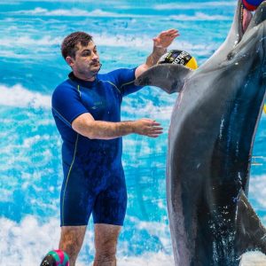 Enjoy Painting Dolphins, Juggling Seals, & Exotic Birds In Action Men's Shop Online at Special Price from Dubai Shopping City