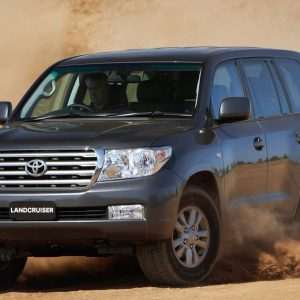 Evening Desert Safari With Desert King Tourism Men's Shop Online at Special Price from Dubai Shopping City