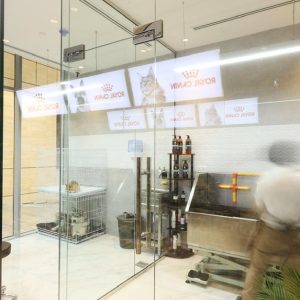 Full And Basic Grooming Options For Dogs And Cats PETS Shop Online at Special Price from Dubai Shopping City