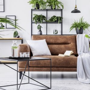 Interior Design And Home Decorating Online Course From Alpha Academy Men's Shop Online at Special Price from Dubai Shopping City