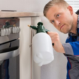 Pest Control Services For Homes And Offices HANDYMAN SERVICES Shop Online at Special Price from Dubai Shopping City