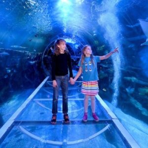 SEA LIFE Birmingham Indoor Attractions Birmingham Indoor Attractions Shop Online at Special Price from Dubai Shopping City