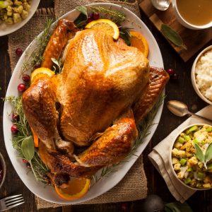 Savor Global Flavors At Cosmic Kitchen: Daily 4-Course Set Menu INDIAN Shop Online at Special Price from Dubai Shopping City