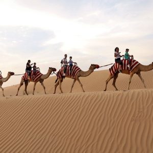 Tour – Bike MOTOR SPORTS Shop Online at Special Price from Dubai Shopping City