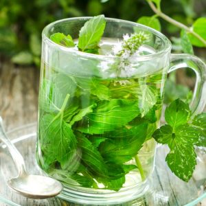 Unlock The Secrets Of Herbs With Master Herbalist Course Men's Shop Online at Special Price from Dubai Shopping City