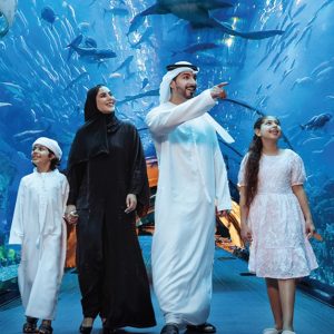 Dubai Aquarium And Dubai Frame Entry Tickets For 1, 2 Or 4 Adults PARKS Shop Online at Special Price from Dubai Shopping City