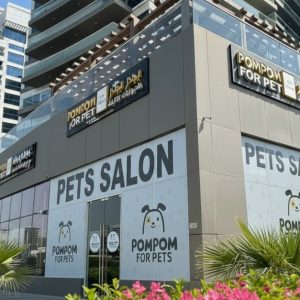 Full Grooming For Cats & Dogs – Small To Xl Breeds PETS Shop Online at Special Price from Dubai Shopping City 2