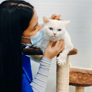 Pet Grooming & Vaccine Care (Consultation, Pch/Dhppi, And Deworming) PETS Shop Online at Special Price from Dubai Shopping City