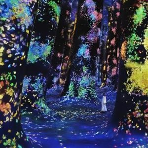 TeamLab Phenomena Abu Dhabi Museums Abu Dhabi Shop Online at Special Price from Dubai Shopping City