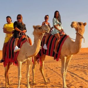 Abu Dhabi Desert Safari+ Central/Home/Hotel Pickup–Dinner & Live Shows MOTOR SPORTS Shop Online at Special Price from Dubai Shopping City