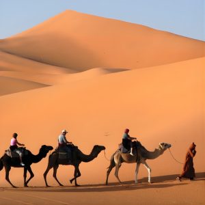Camel Caravan at Kasbah Le Mirage & Spa Nightlife Casablanca Nightlife Shop Online at Special Price from Dubai Shopping City
